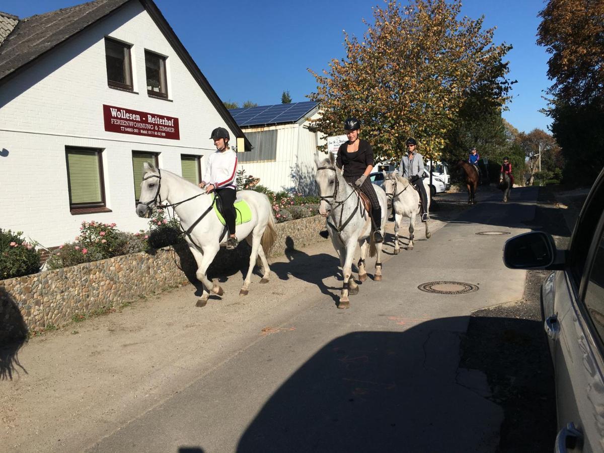 Reiterhof Wollesen Hotel Süderlügum Екстериор снимка