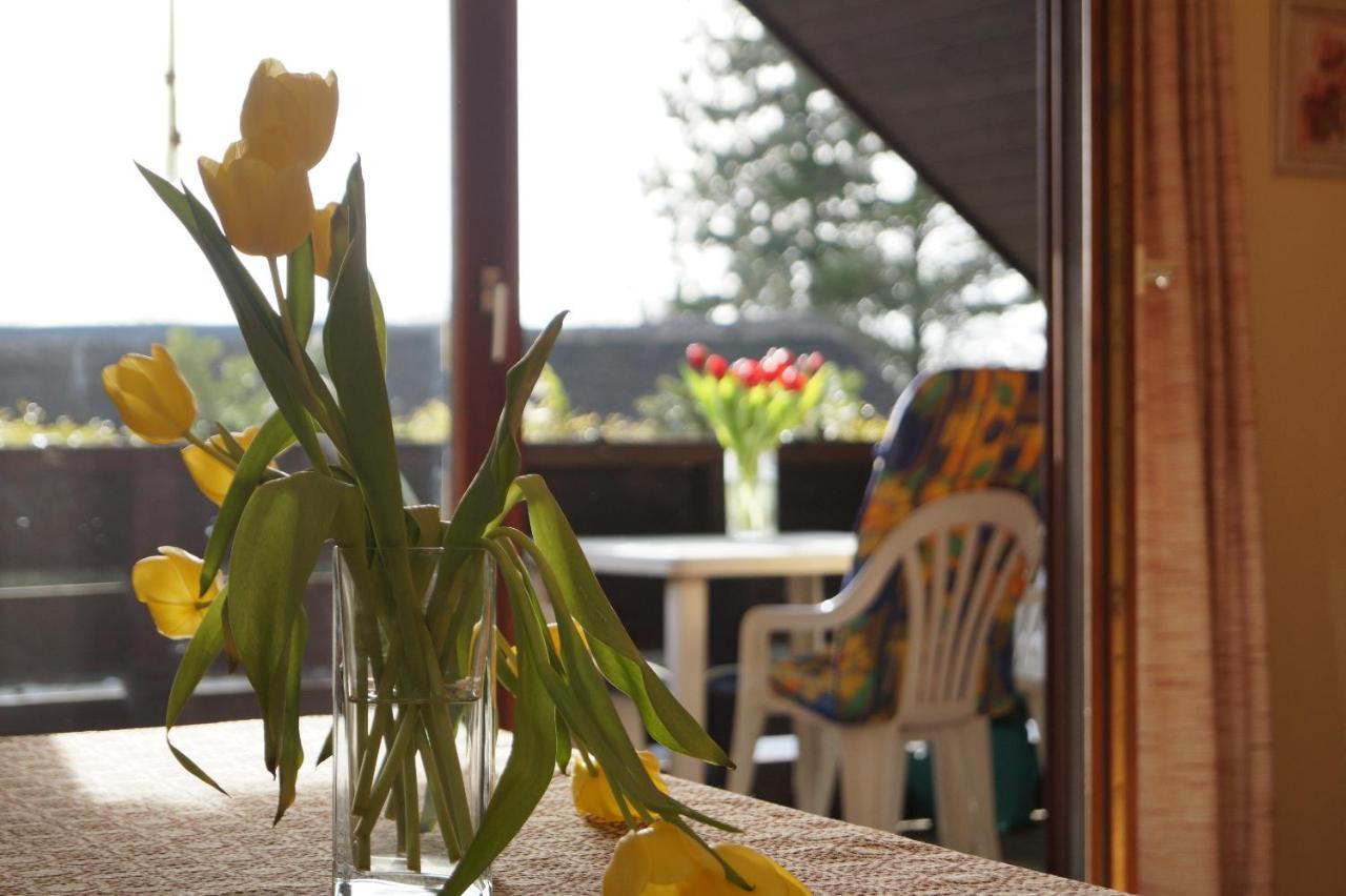Reiterhof Wollesen Hotel Süderlügum Екстериор снимка